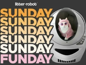 Win Cash Prize by joining Sunday Funday Litter Robot Giveaway you can enter now, by followings terms and conditions to join THIS ONLINE CONTESTS SWEEPSTAKES AND GIVEAWAY PWin Cash Prize by joining Sunday Funday Litter Robot Giveaway you can enter now, by followings terms and conditions to join THIS ONLINE CONTESTS SWEEPSTAKES AND GIVEAWAY P