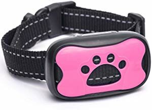 Trust the Paw Bark Collar Giveaway