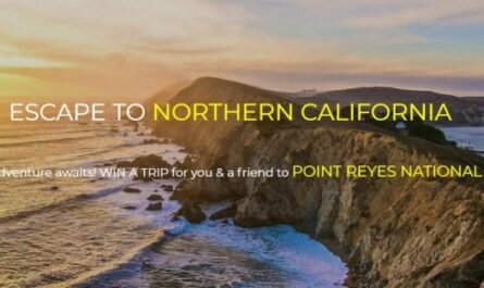 La Colombe Escape To Northern California Sweepstakes