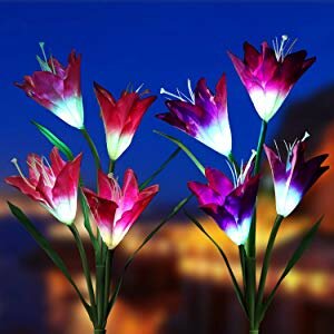 Solar Lights Outdoor – Outdoor Solar Garden Stake Lights Sweepstakes 