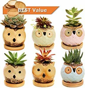 Chez JuJu Ceramic Owl Succulent Pots Cute Animal Flower… Sweepstakes