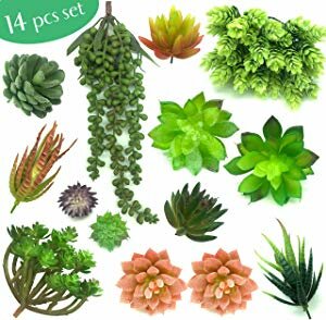 Pack of Artificial Fake Succulent Plants Unpotted |… Giveaway