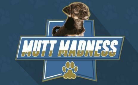 95.7 BEN-FM Mutt Madness Giveaway