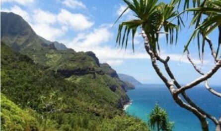 Miracle-Ear Anniversary Celebration Sweepstakes