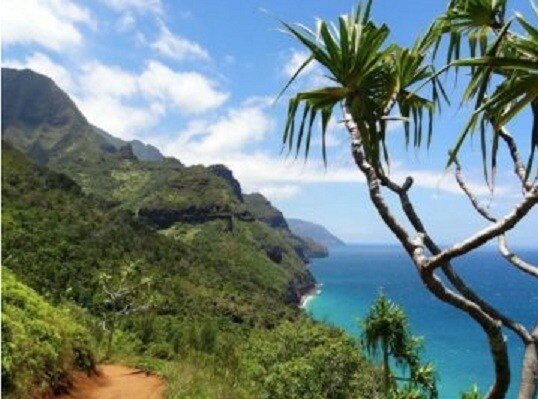 Miracle-Ear Anniversary Celebration Sweepstakes