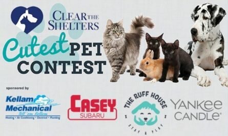 WAVY Clear the Shelters Cutest Pet Contest