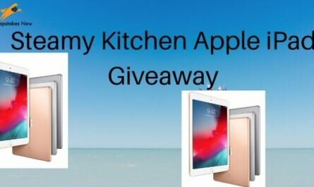 Steamy Kitchen Apple iPad Giveaway