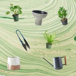 Domino The Ultimate Plant Parent Giveaway