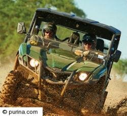 Purina Pro Plan Gear Up for Greatness