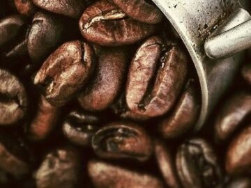 Red Goat Coffee For a Year Giveaway