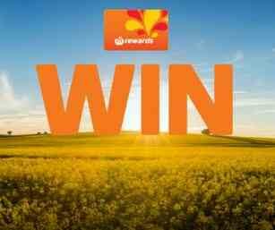 Wool worths Fresh Summer Competition