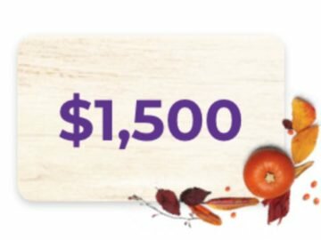 What To Expect $1500 Amazon Card Giveaway