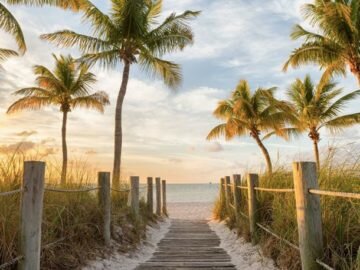 Cozy Earth Sweepstakes