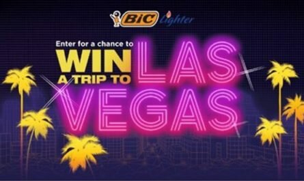 BIC Lighter Trip to Vegas Sweepstakes