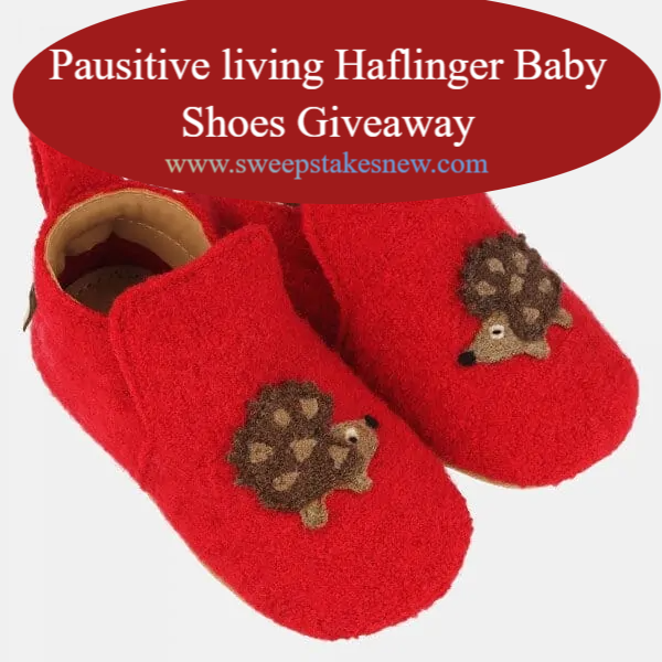 Pausitive living Haflinger Baby Shoes Giveaway