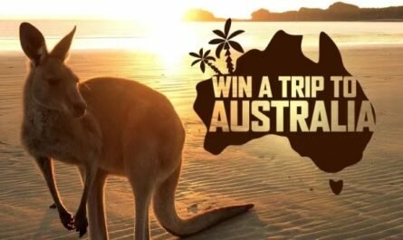 Kinder Surprise Animal Adventure Sweepstakes