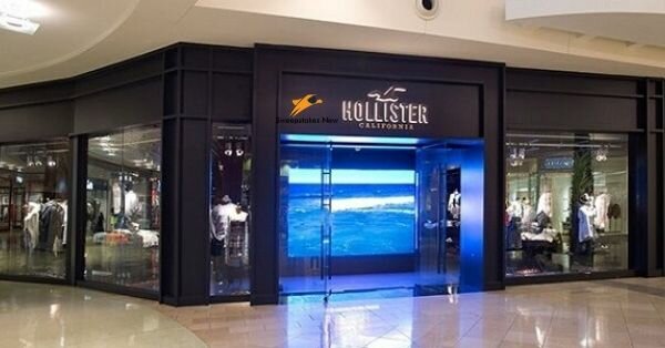 Hollister Customer Experience Survey