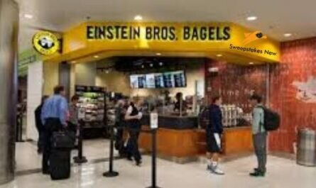 BagelTalk Guest Experience Survey