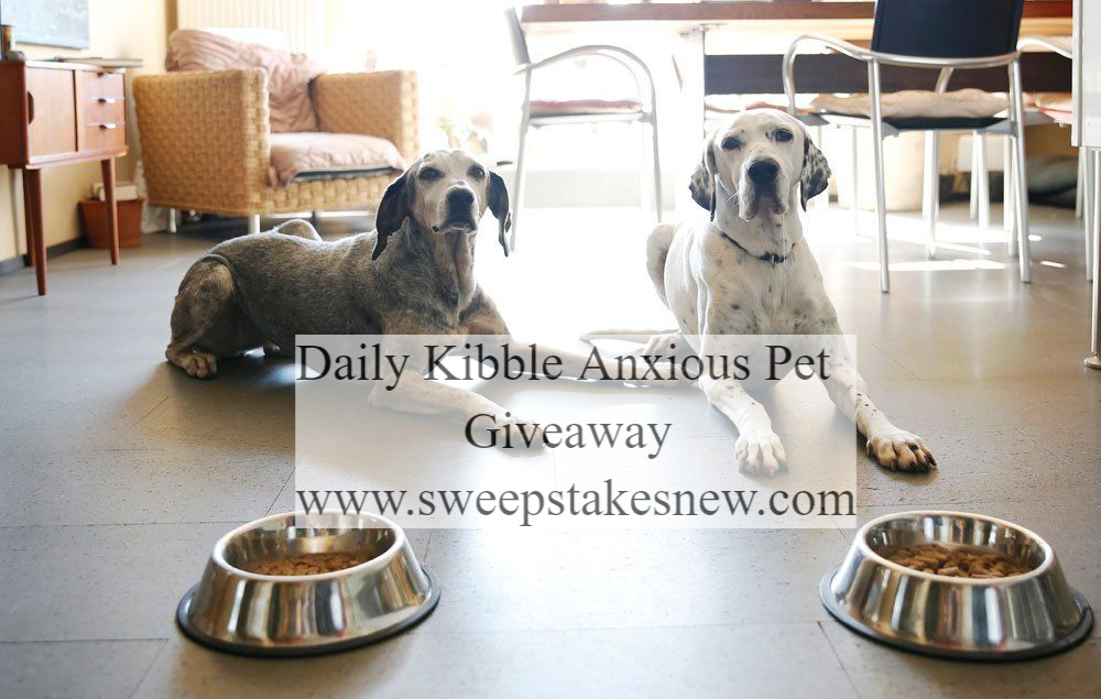 Daily Kibble Anxious Pet Giveaway
