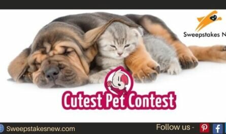 Cherry Insurance Cutest Pet Contest