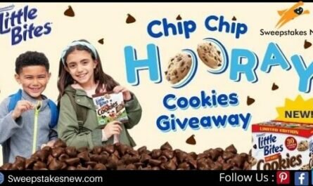 Entenmann's Little Bites National Chocolate Chip Cookie Day Giveaway