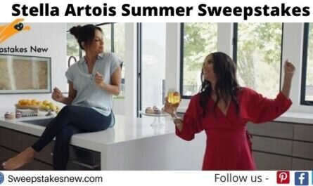 Stella Artois Summer Sweepstakes