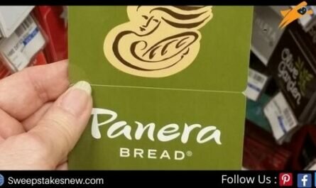 Camp Panera Sweepstakes