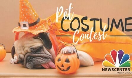 NewsCenter1 Pet Costume Photo Contest