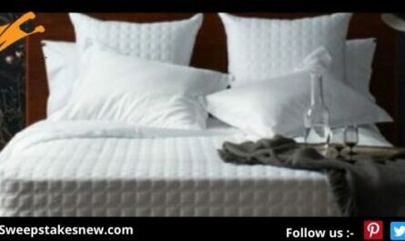 10 Grove Upgrade the Every Day Giveaway