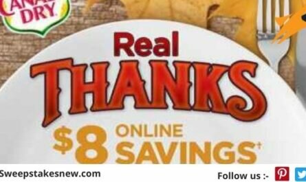 Canada Dry Real Thanks Real Giving Contest