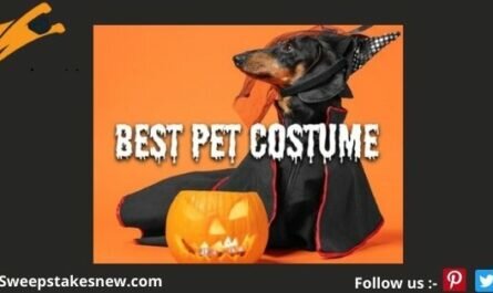 WPRI Best Pet Costume Halloween Photo Contest