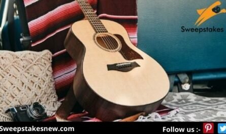 Taylor Guitars Serious Fun GTe Sweepstakes