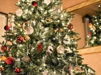 Boscov’s This or That Tree Contest