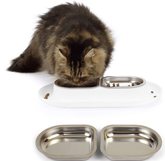  Hepper NomNom And Extra Dishes Giveaway